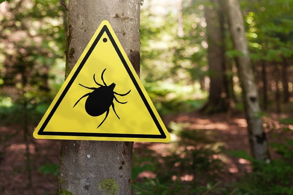 Yellow triangle warning sign with image of tick posted on tree in a forest
